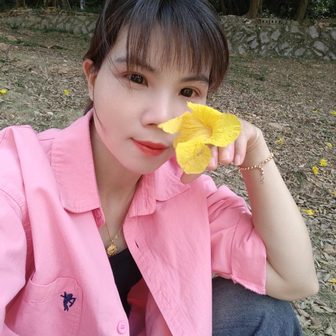 茶茶橱窗