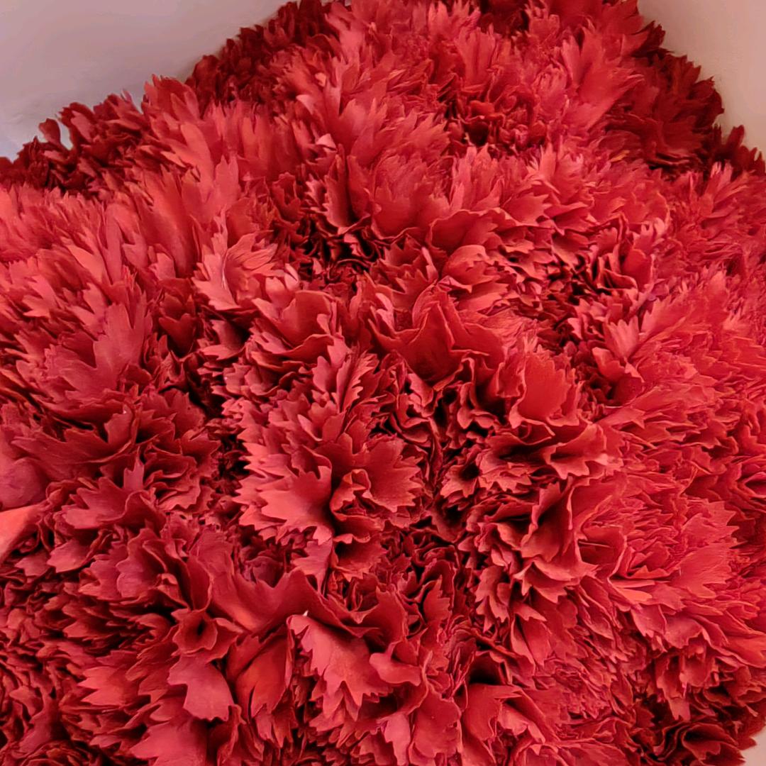 岁月静好。