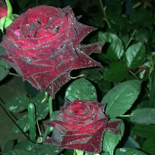 ୧⍤⃝💋꯭微笑ꦿ໌້释怀۵