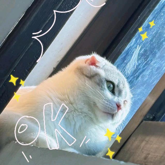 胡红敏