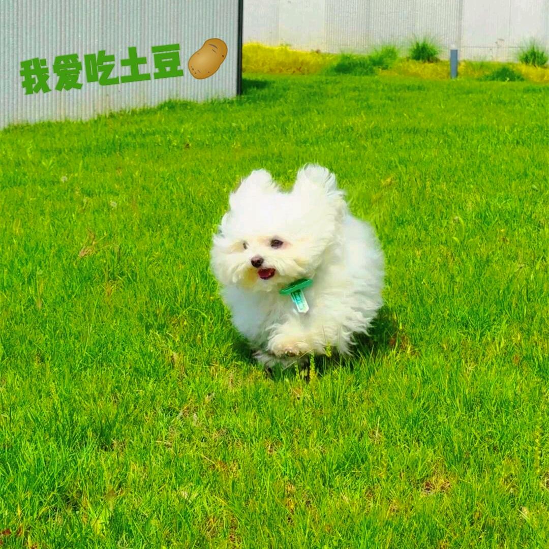 千木.头像