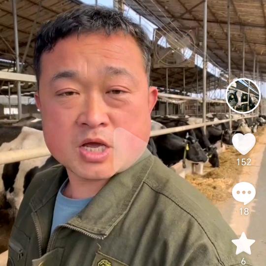 招远奶牛王子永平哥