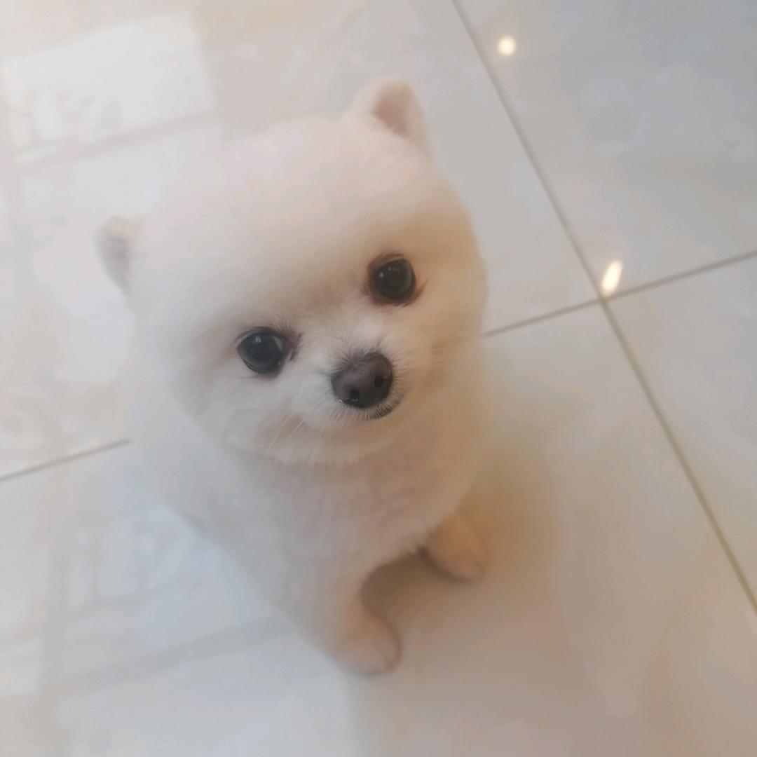 昆山一哥
