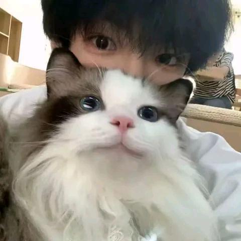 显性电冰箱.