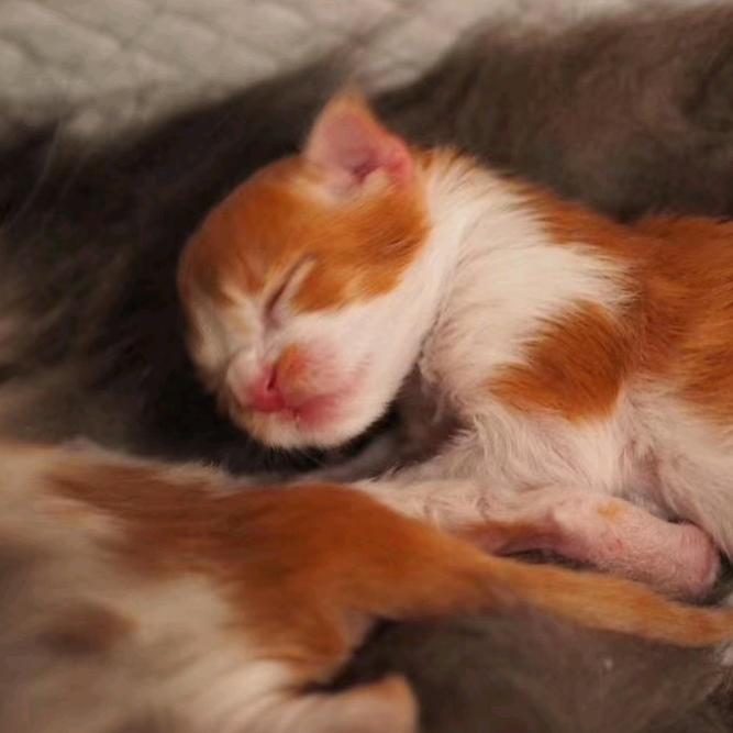 彩笔画不出一道彩虹