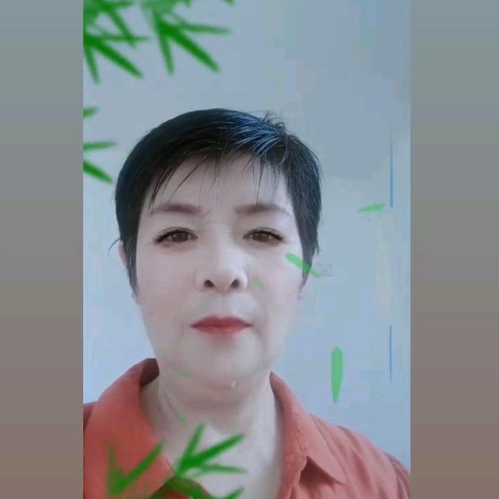 园梦