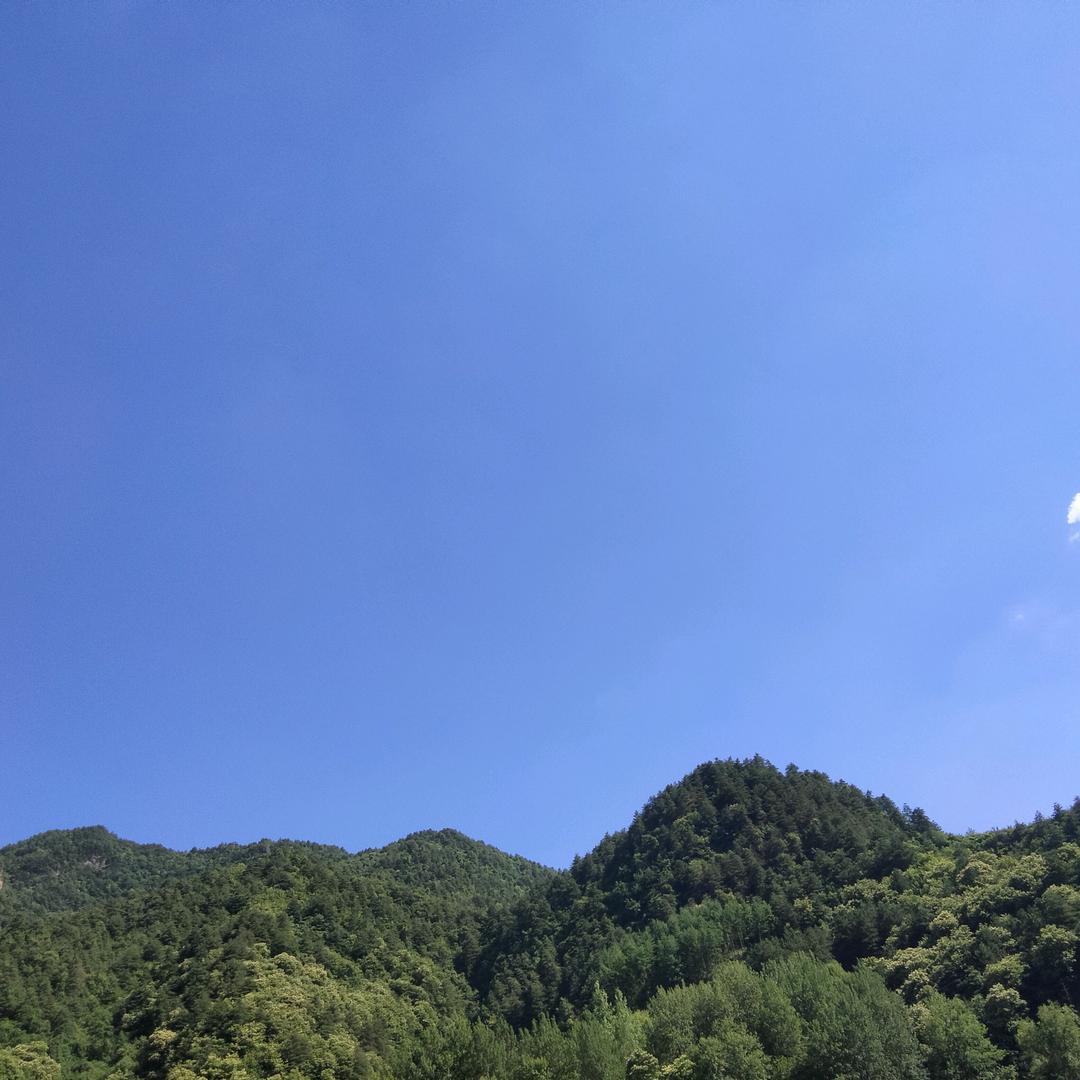 随心所欲做自己