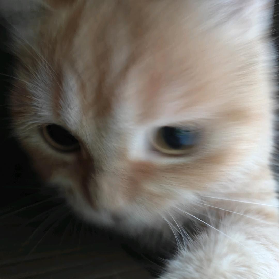 一口气全部吃掉
