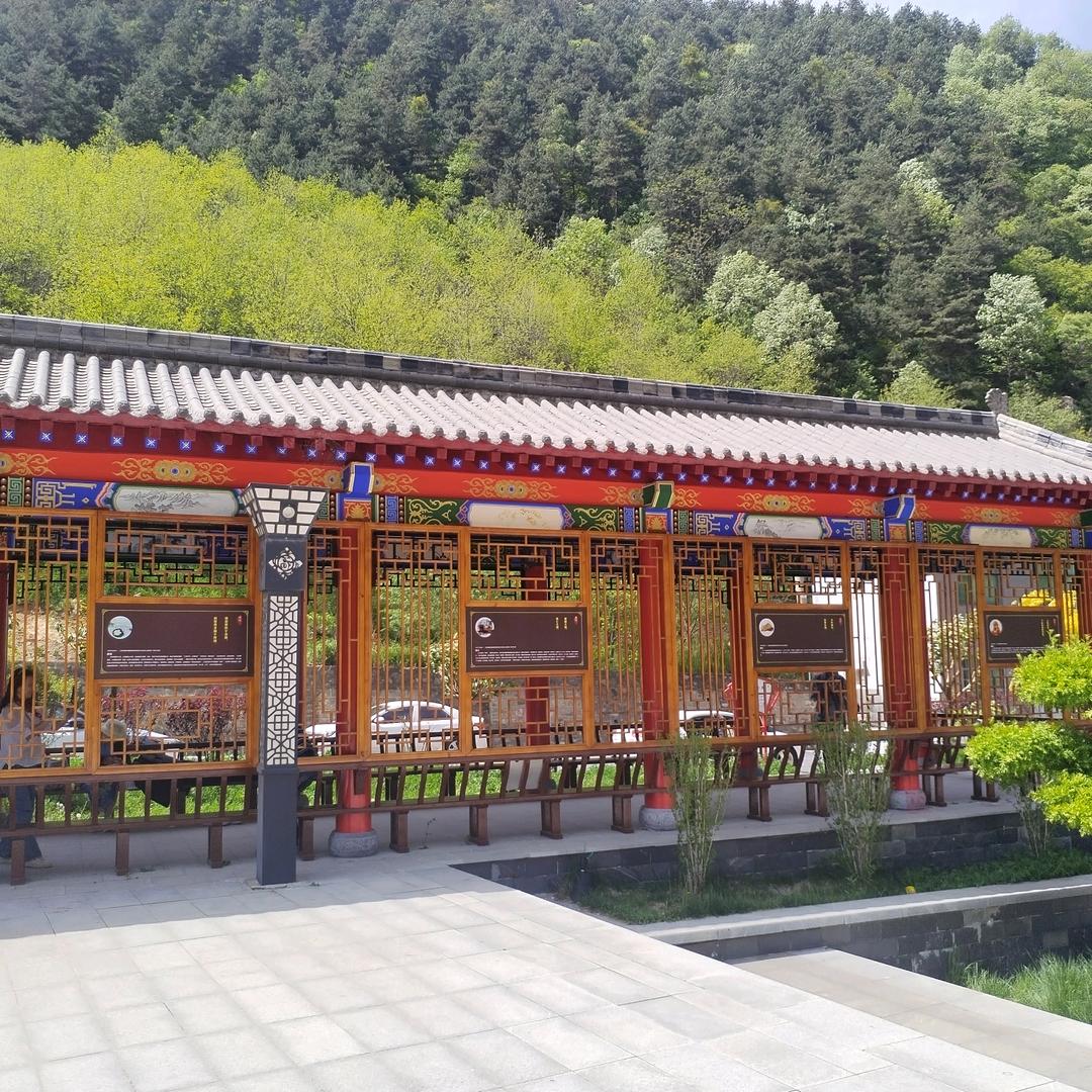 阳仔😎😎