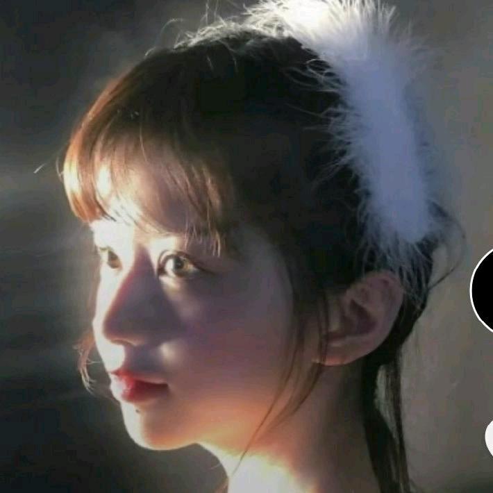 丹丹子🦋