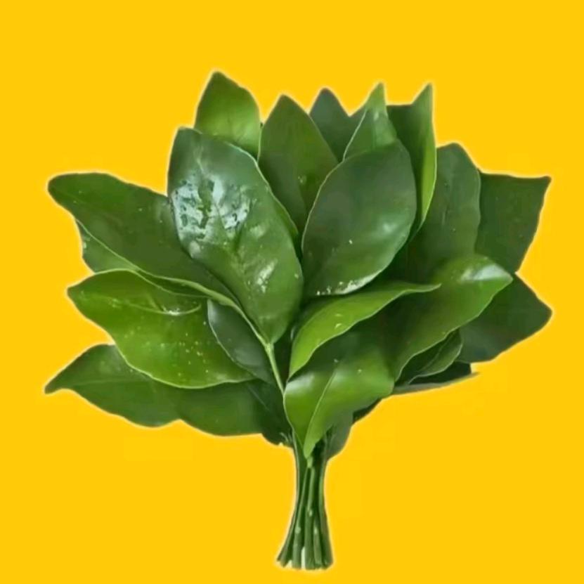 啵啵