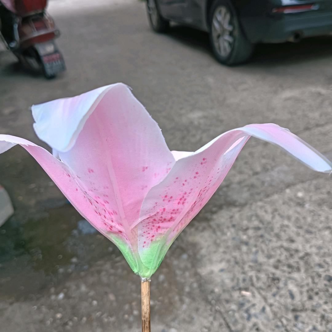 祝姐