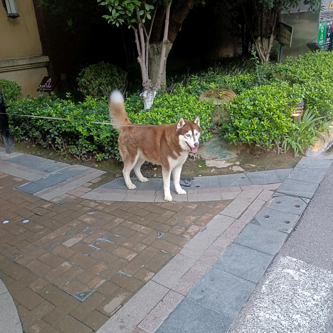 一会就睡觉了。