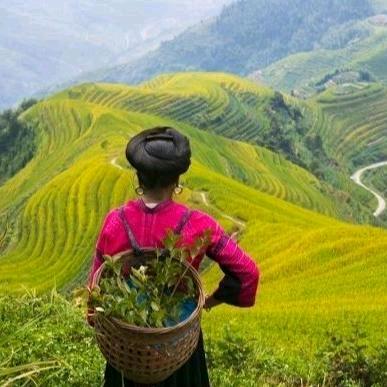 好运每一天