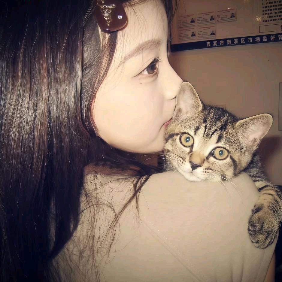 开心猫猫蜜