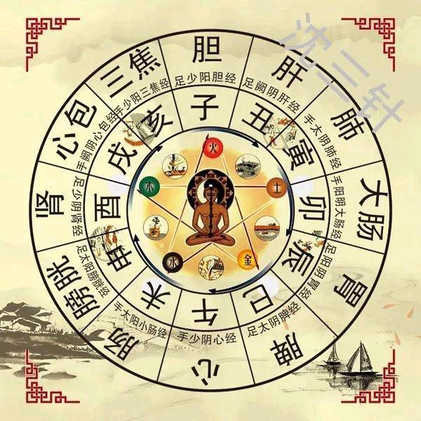 灵长类动物