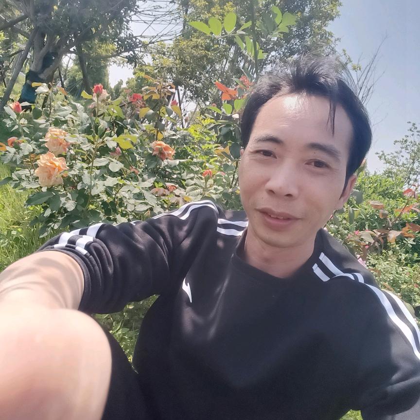 为孝心而活