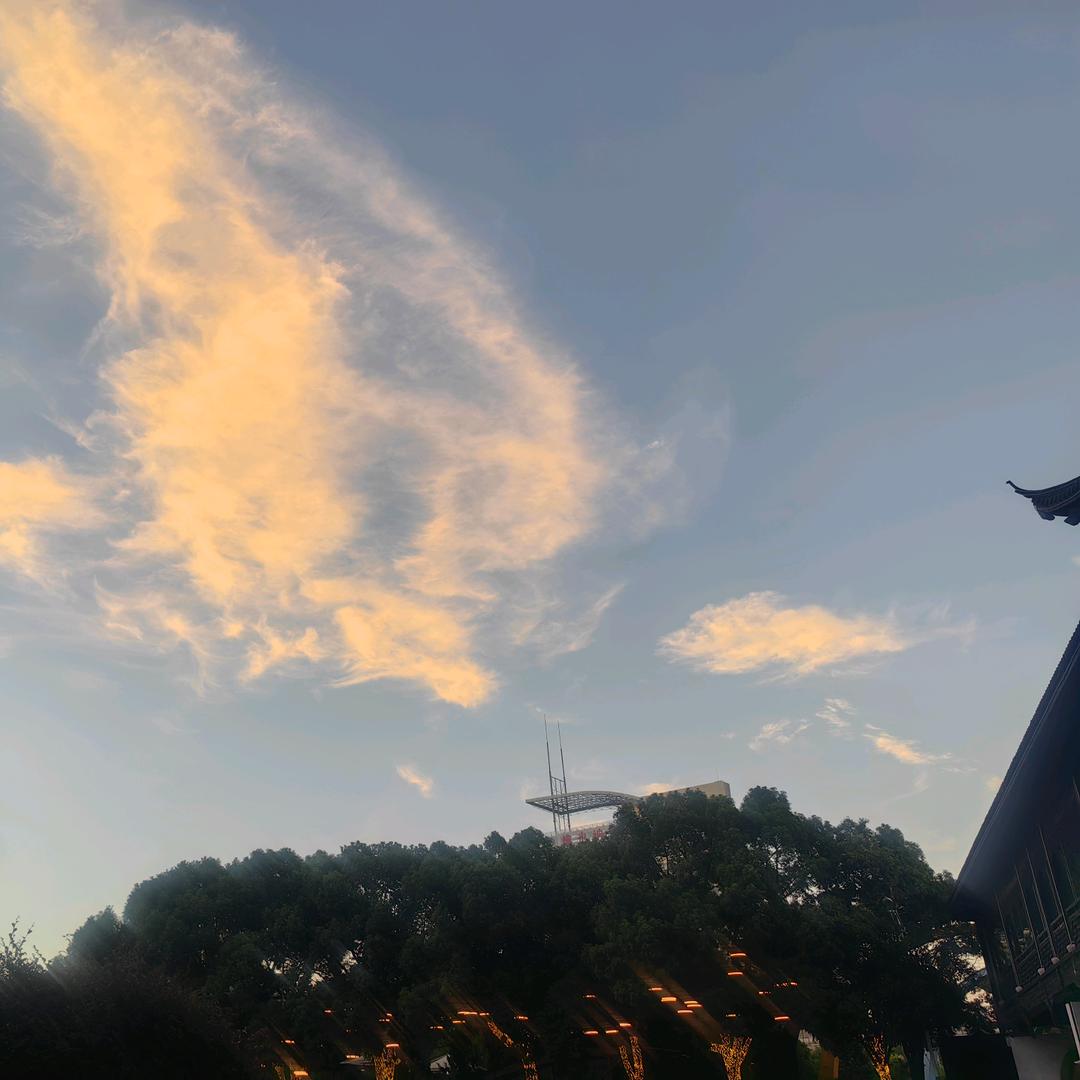 鸿峰