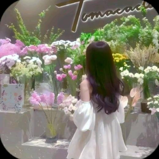 ⭑泡泡𓂂𓈒𓏸𓂂𓈒𓏸