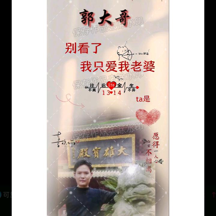 河南四哥