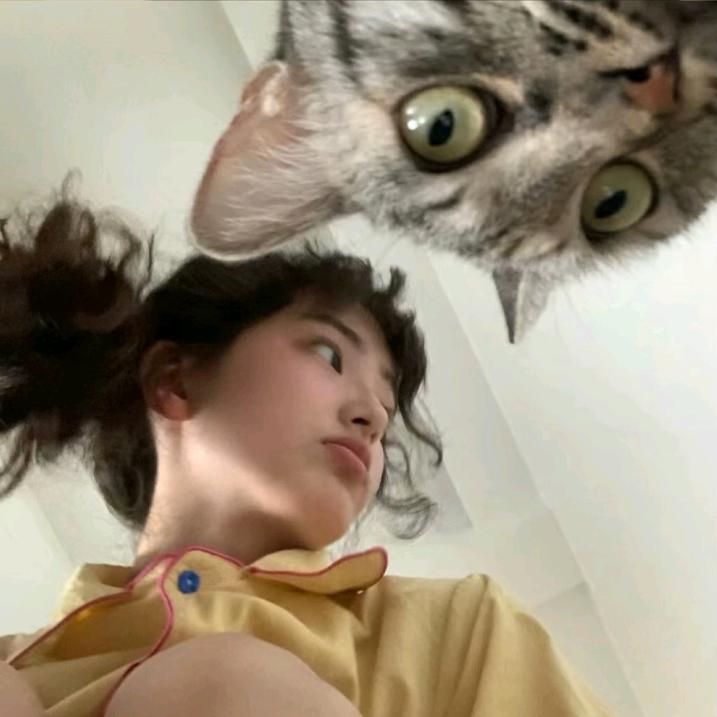 🎵