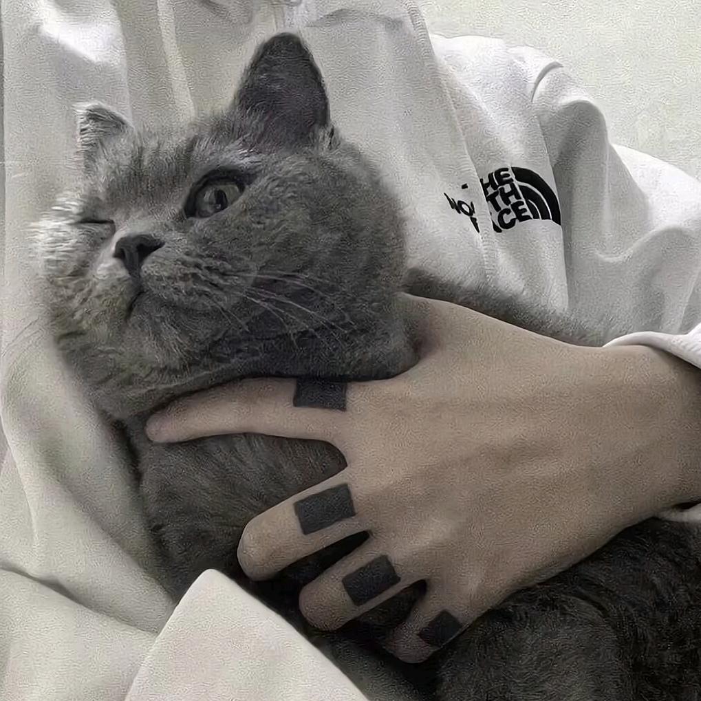 纆