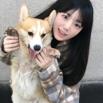 失眠小羊'