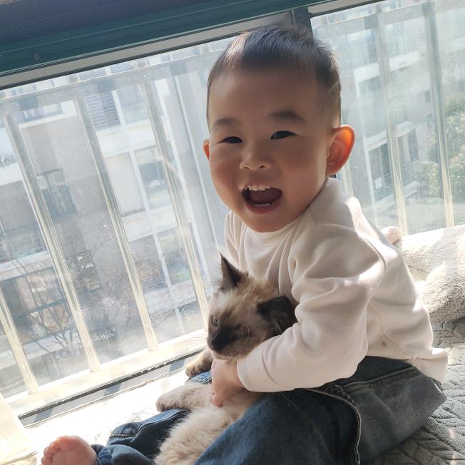 毅仔麻麻
