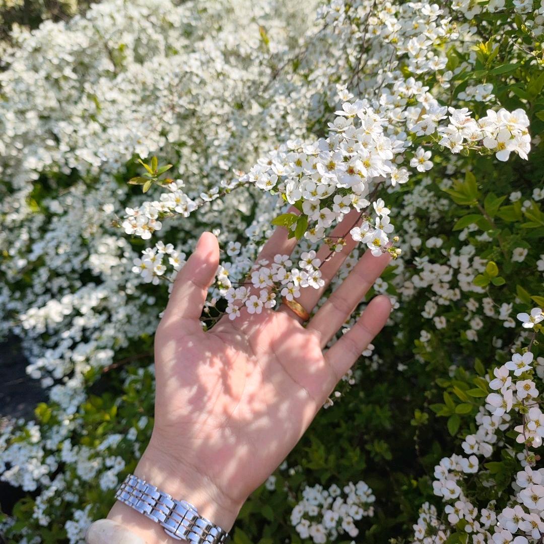 林小花