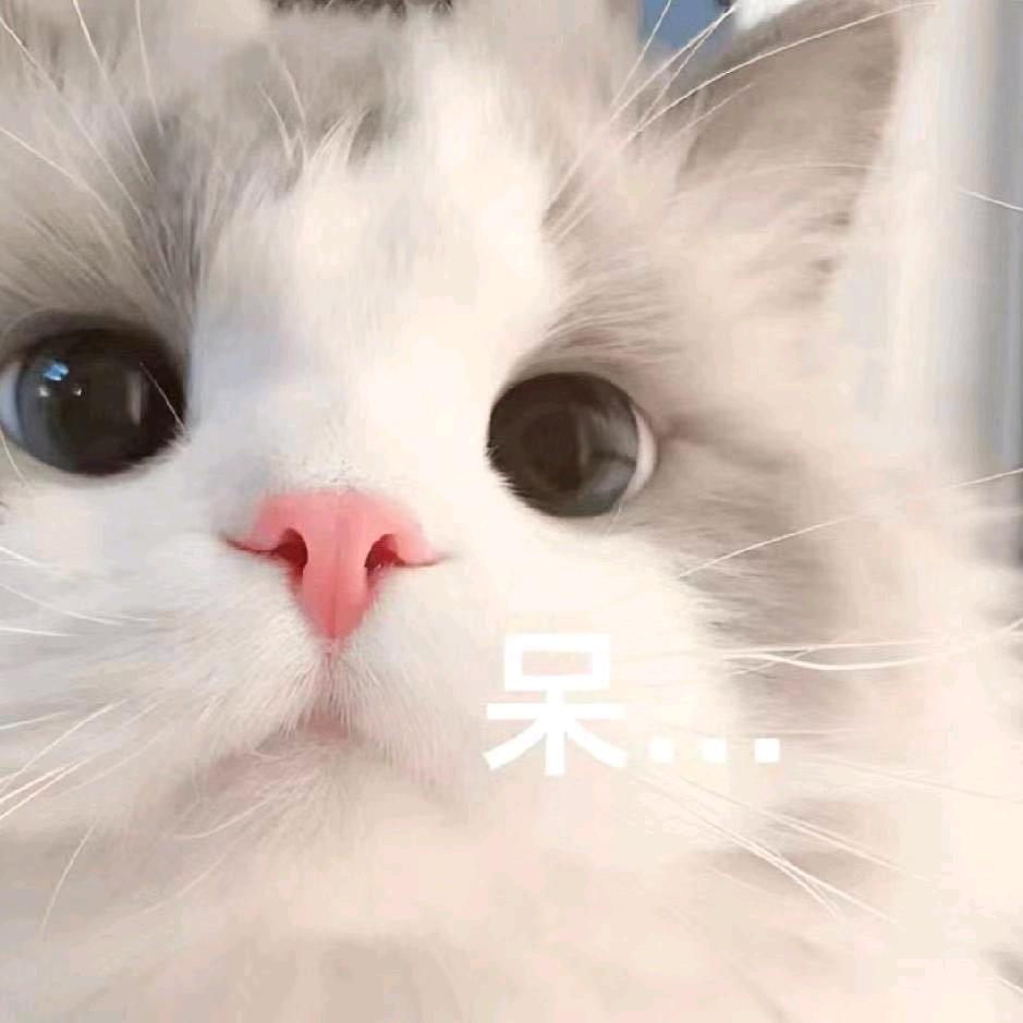 吹雪zzz