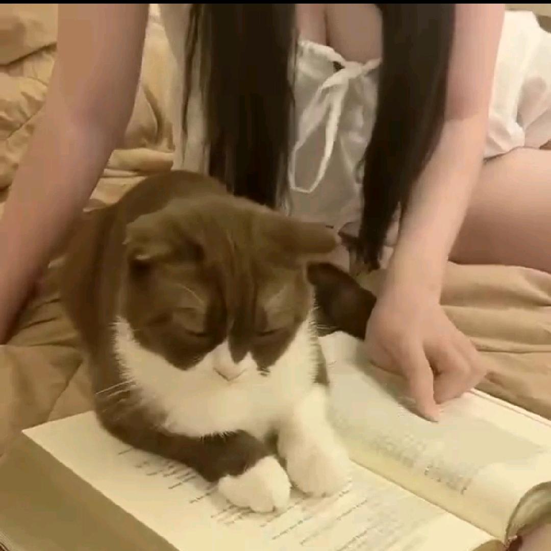 壮士请留步