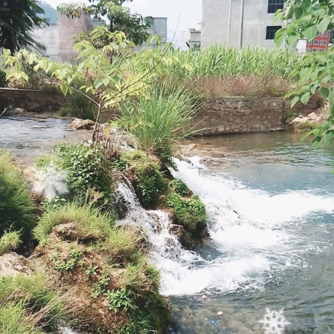 中国香孟