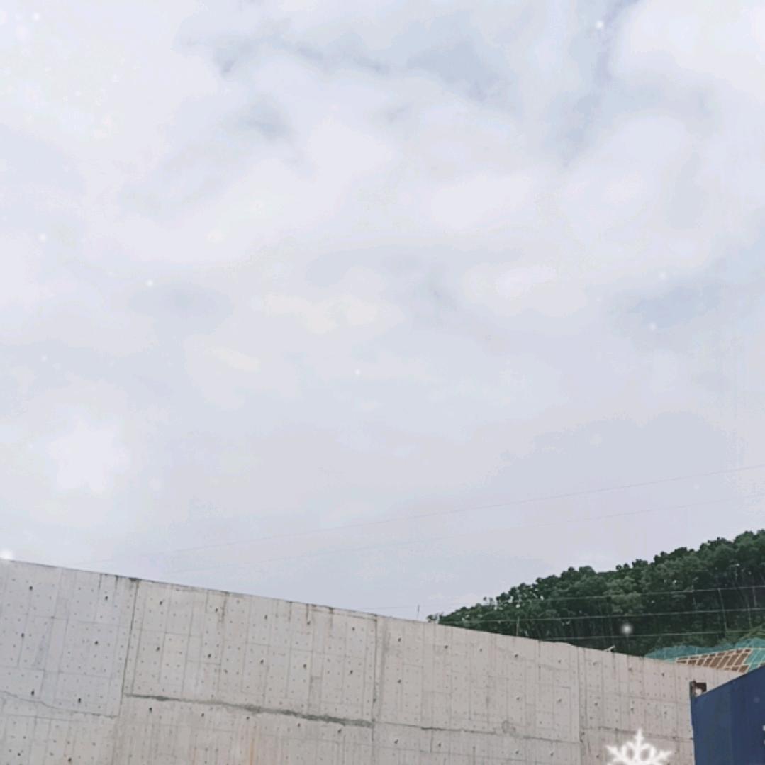 用心