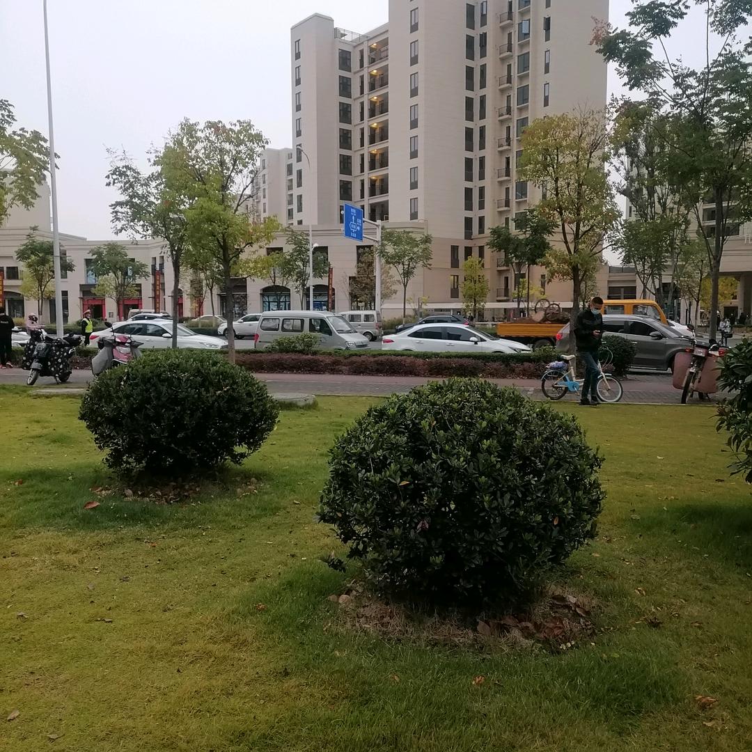 宜昌小哥