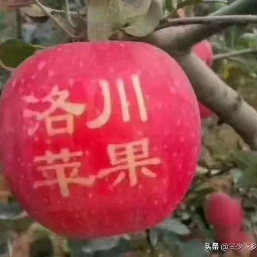 一生平安，