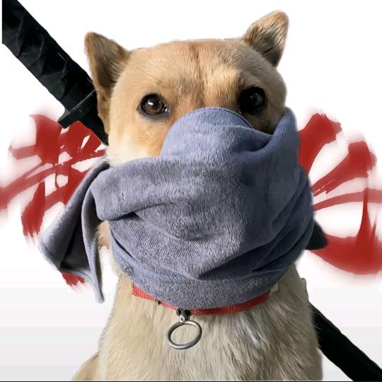 离别诗の