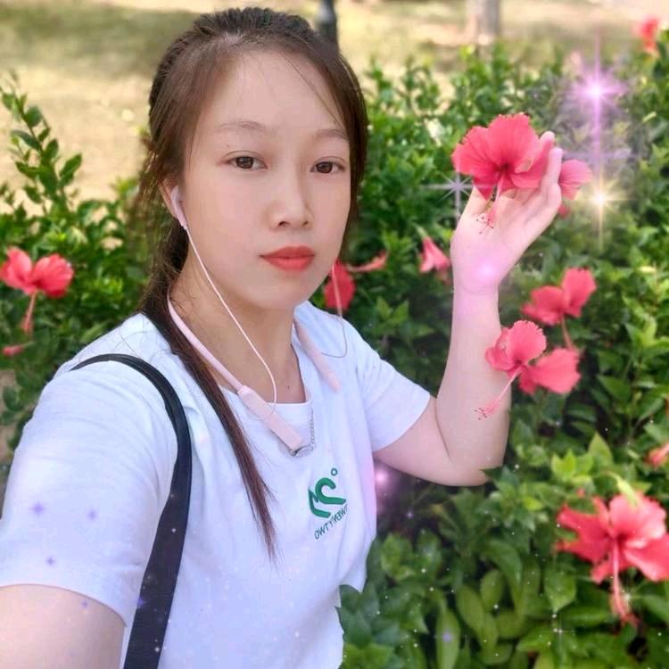 前程似锦@