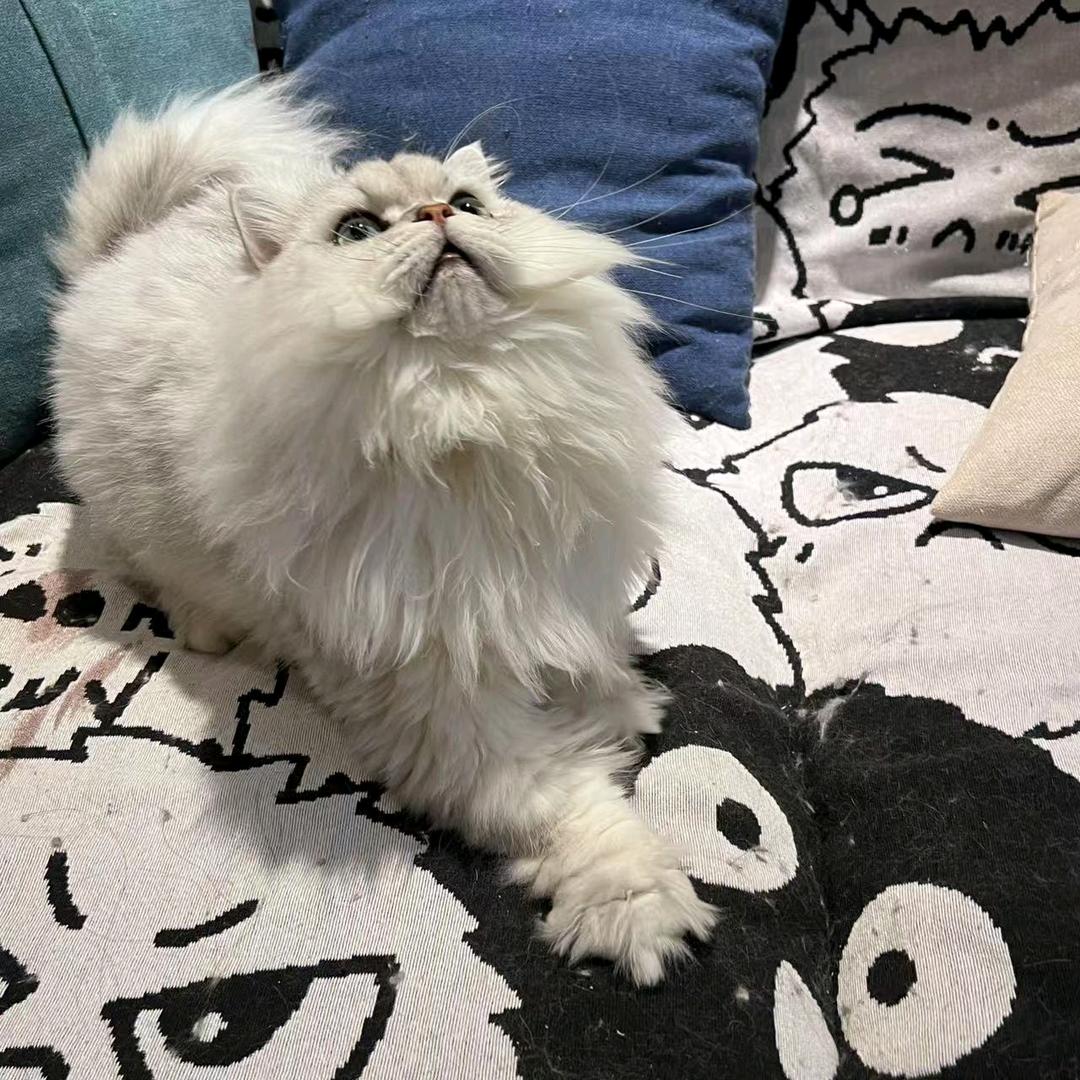 每天都想睡觉