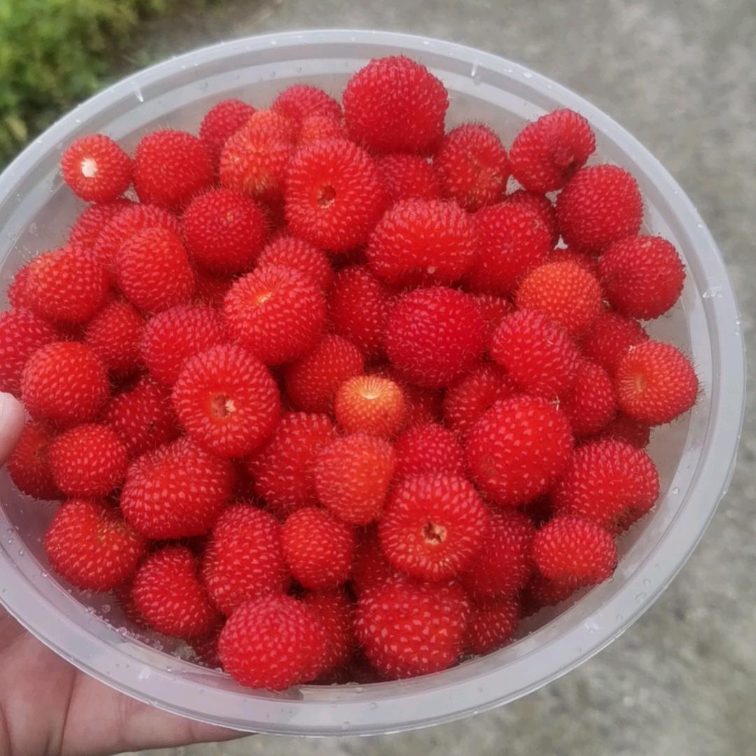 玩玩