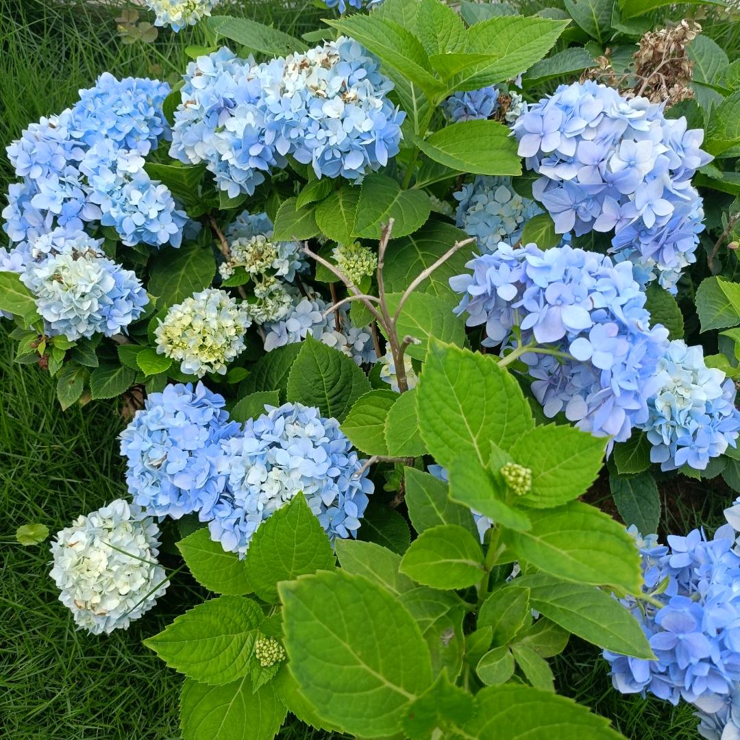 亮点未来