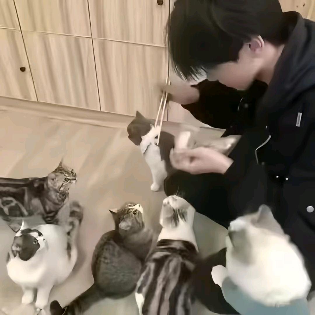 ── 展开12条回复 ⌵