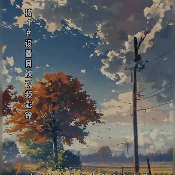 蝶恋花🌹