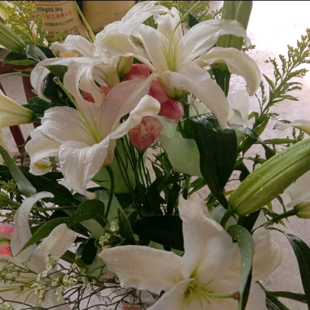 时光，淡了回忆