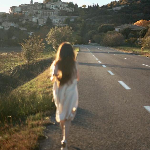 赶在日落前吃光晚餐