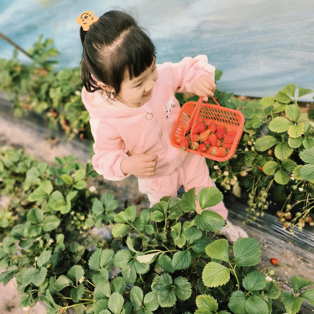 ⭐好运⭐(๑•ี_เ•ี๑)