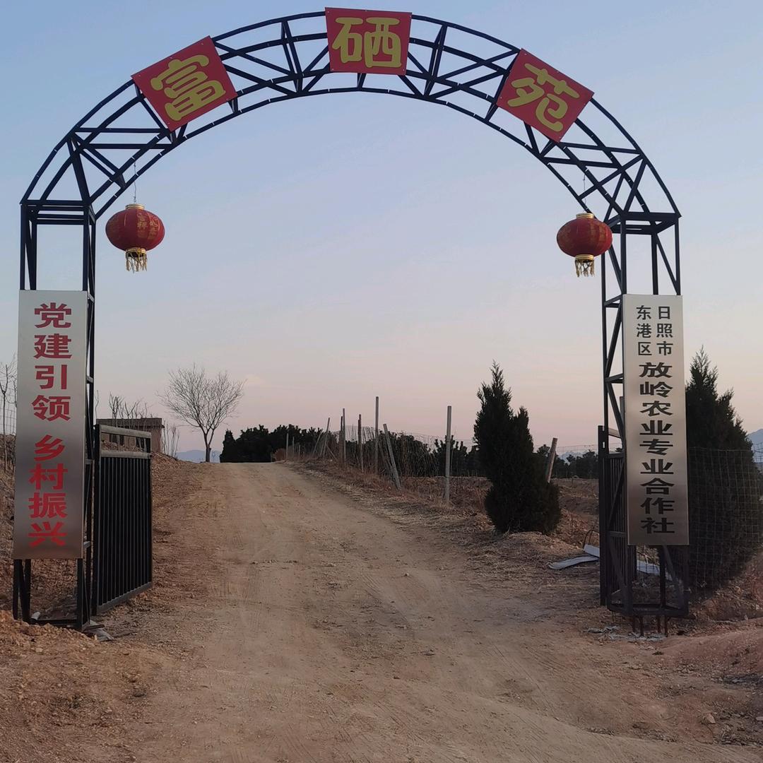 囍连枝