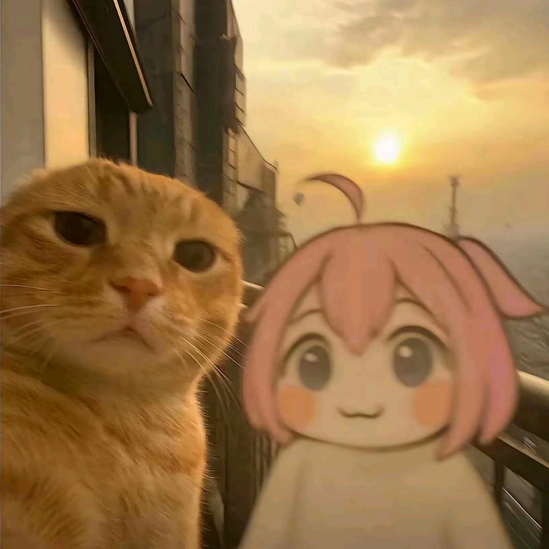 人心所向林登万