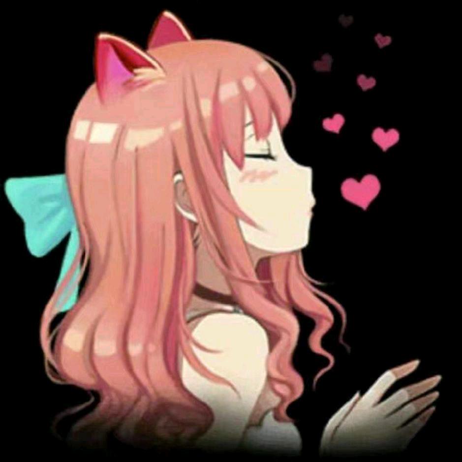燕子✔