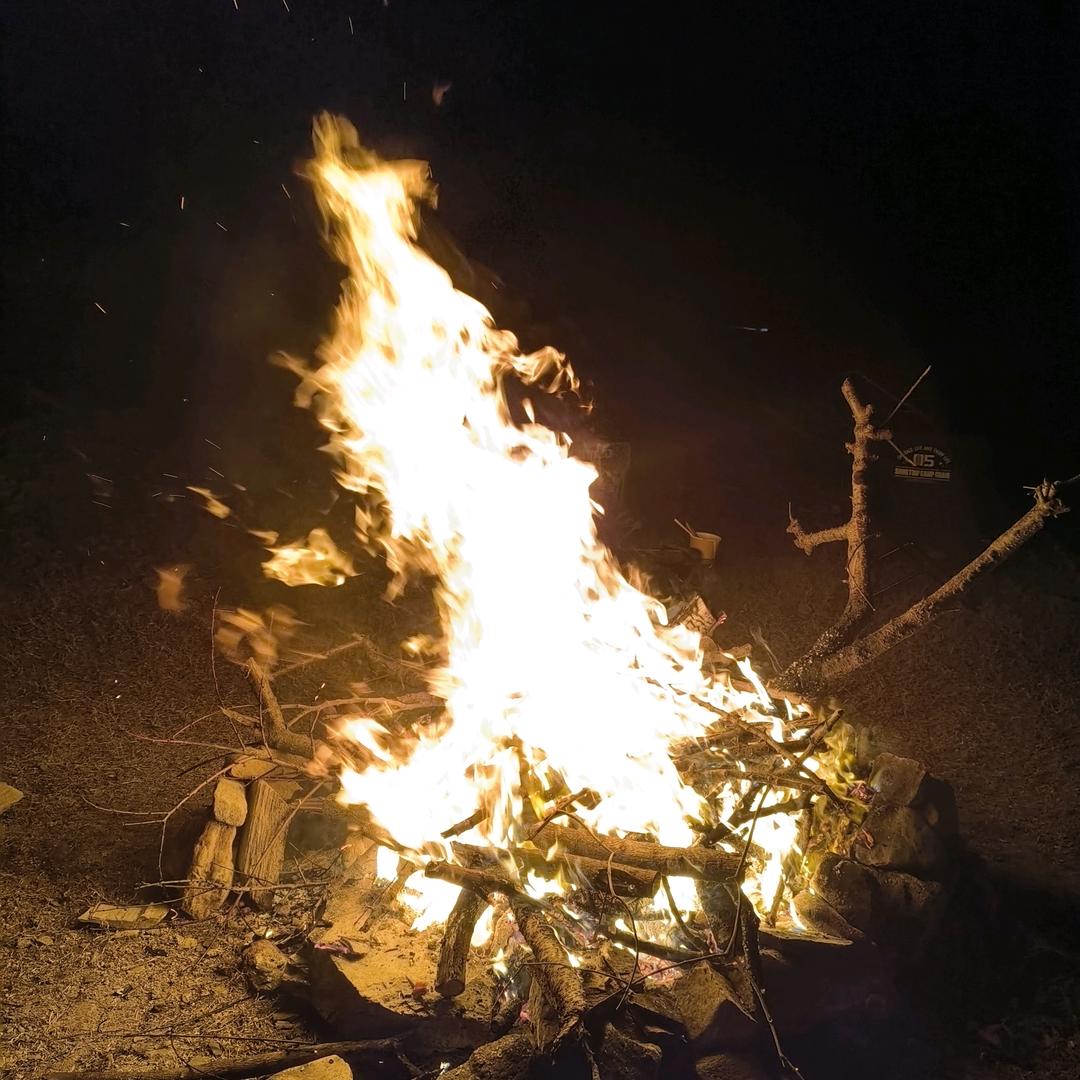 爱写字的小碳火