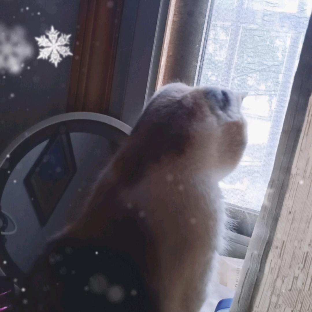 ，人生决定心态